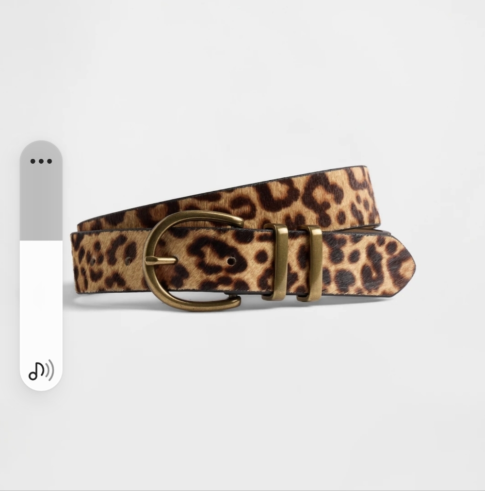 Gap Women's Brown & Black Cowhide Leather Belt Size Large